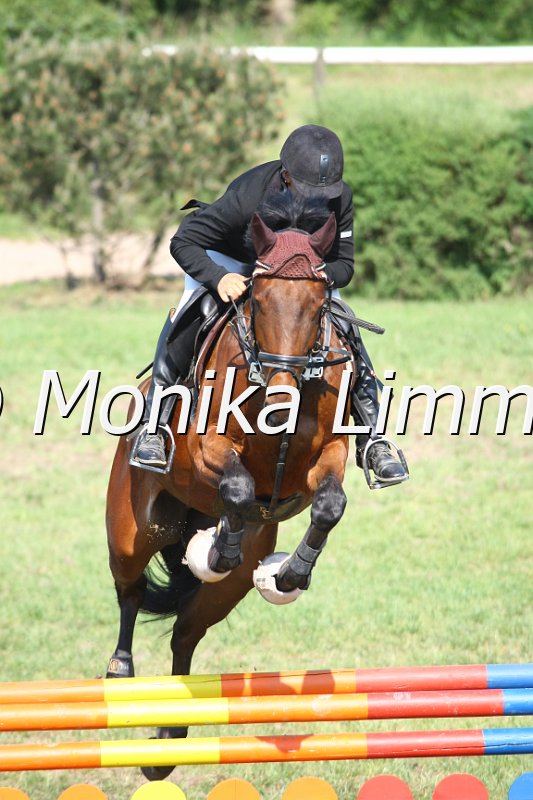 105M3373_Los Angeles_Spring_A.JPG